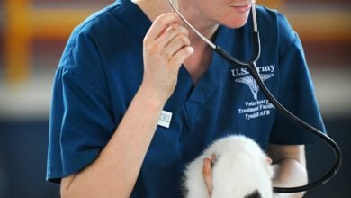 Photo of Fur-baby sick? Start-up takes telemedicine to pets’ parents