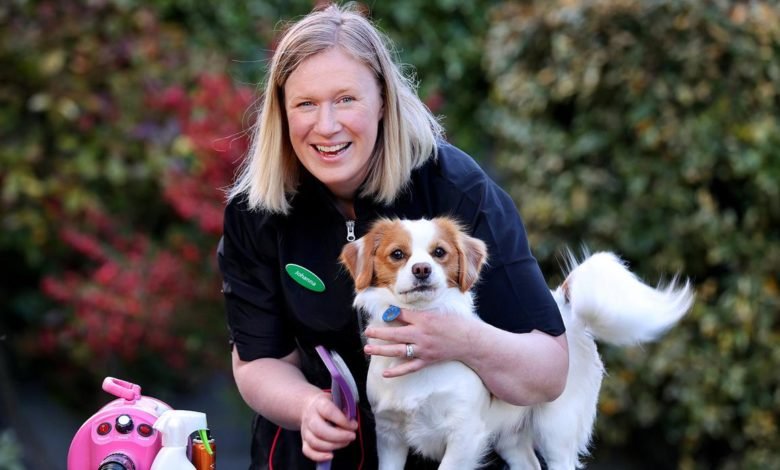 Dog grooming ‘essential, not a luxury’