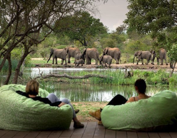 The unexpected luxuries of a safari