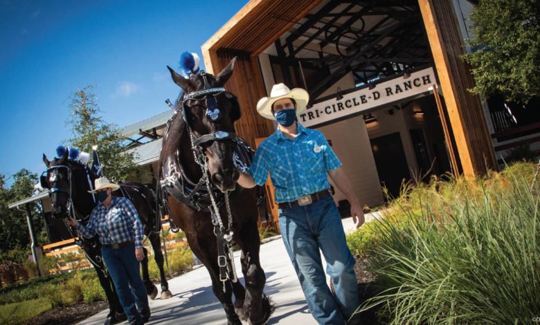 Celebrating the New Tri-Circle-D Ranch, Home to Heritage and Happy Horses