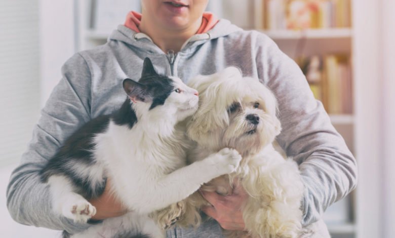 A fur-parent’s guide to minimize infection carried by pets