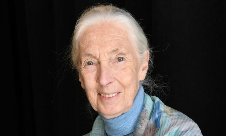 Jane Goodall warns coronavirus was ‘inevitable’ as humans ‘disrespect nature’