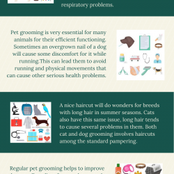Pet Grooming is more Than a Luxury