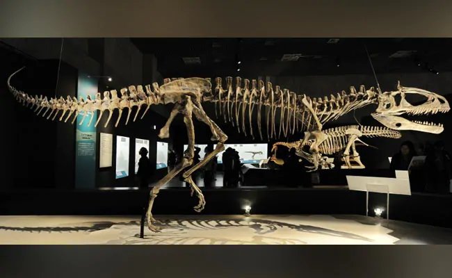 Dinosaurs Got Cancer Too, Say Scientists