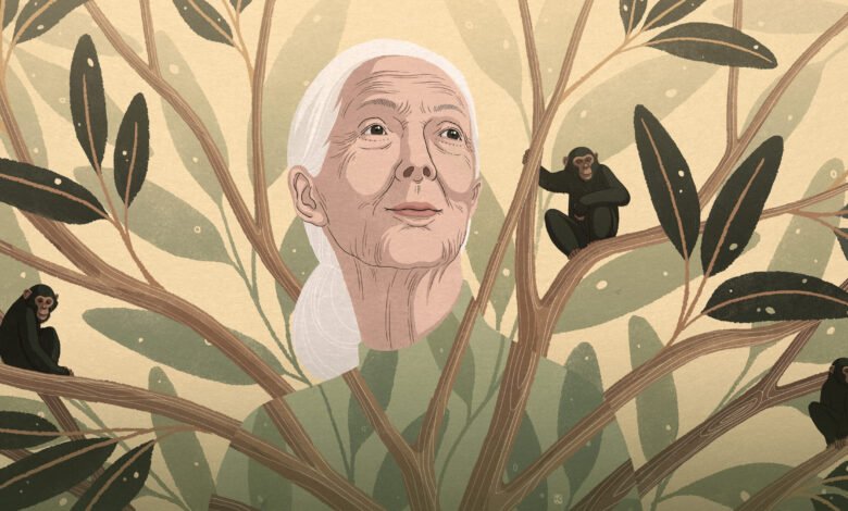 Jane Goodall on What it Means to Be Human