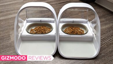 Photo of This $150 Pet Feeder Saved My Sanity When I Got a Second Cat