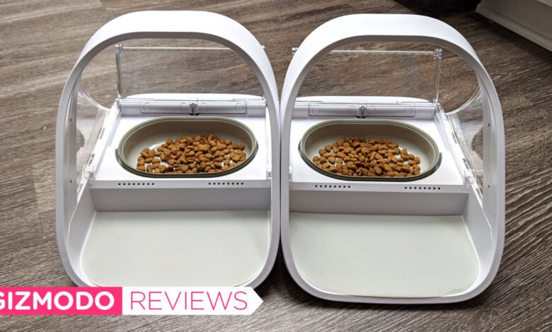 This $150 Pet Feeder Saved My Sanity When I Got a Second Cat