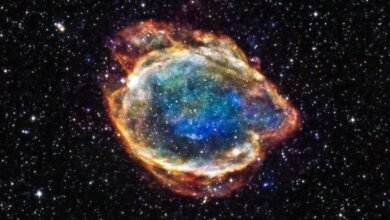 Photo of An Ancient Supernova Caused a Mass Extinction on Earth, Scientists Believe
