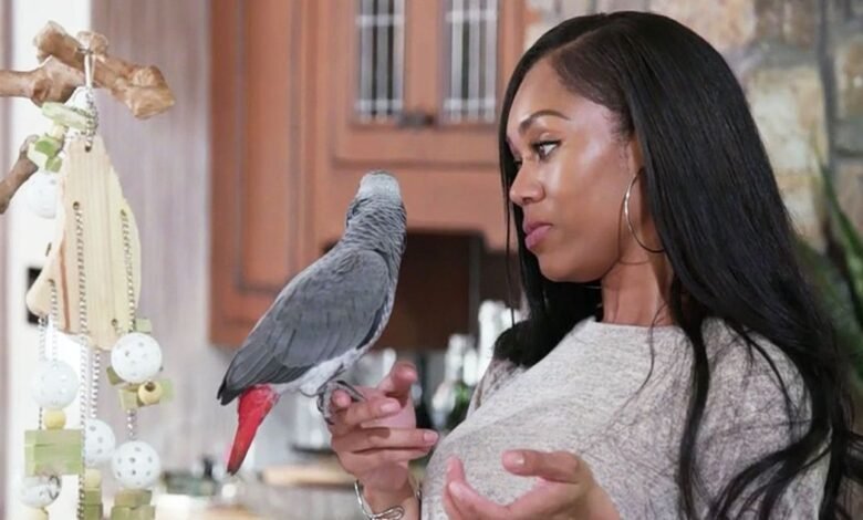 T’Challa’s Real Housewife Behavior, Explained by a Parrot Expert