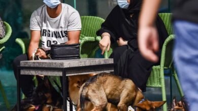 Photo of In changing Saudi Arabia, first dog cafe delights pet lovers